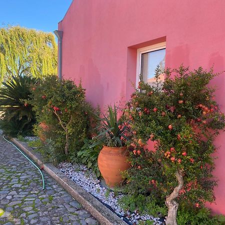 Casa Das Jardas Idanha-a-Nova Esterno foto