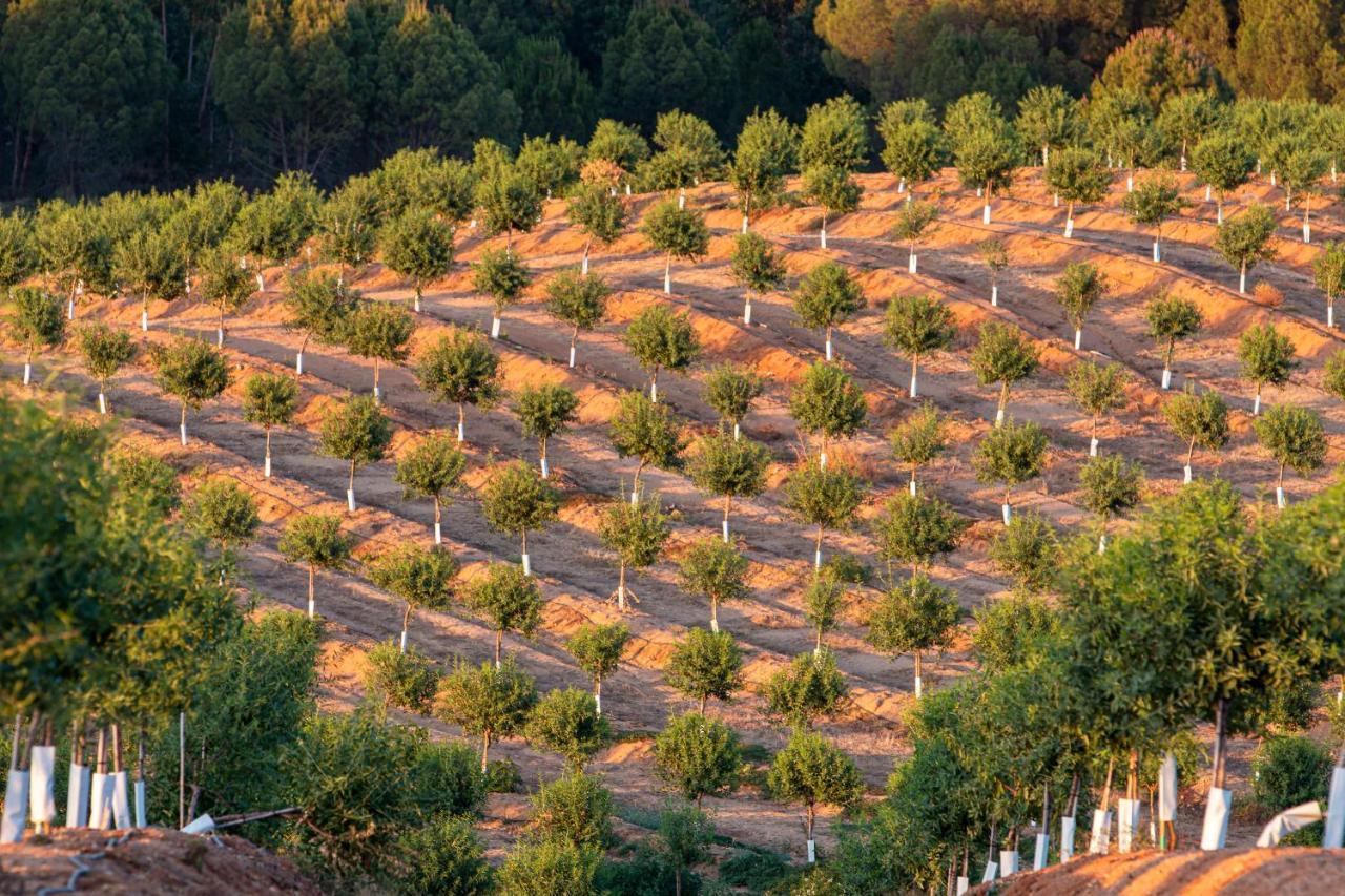 Casa Das Jardas Idanha-a-Nova Esterno foto